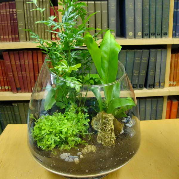 100+ Beautiful Terrariums and Tiny Gardens Ideal for Small ...