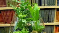 Small Terrarium Plants Ideas - 46 Fresh Terrarium Ideas, That Are Simply Gorgeous ... - We did not find results for: