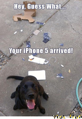 dog eat iPhone 5 (funny)