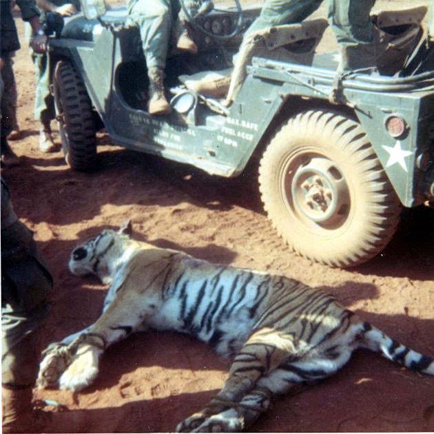 Just A Car Guy: Vietnam war and tiger stories