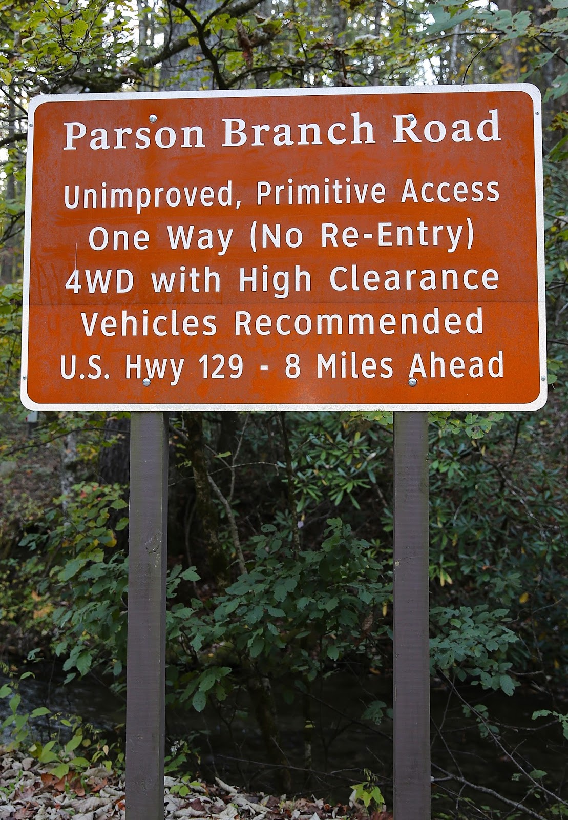 Sweet Southern Days Parson Branch Road In The Great Smoky Mountains