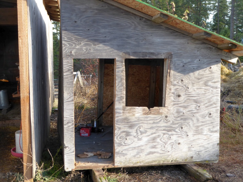 Rural Revolution Chicken coop expansion, Part 1