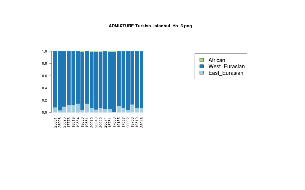 ADMIXTURE+Turkish_Istanbul_Ho_3.png