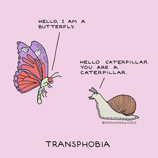 The Randy Report Meme Of The Day Transphobia