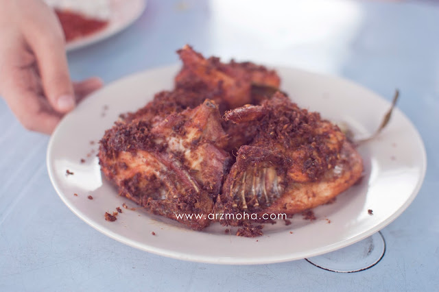 ayam goreng rempah nasi lemak kukus pendekar mustar, nasi lemak pendekar mustar, nasi lemak sungai ara, makan best di penang,