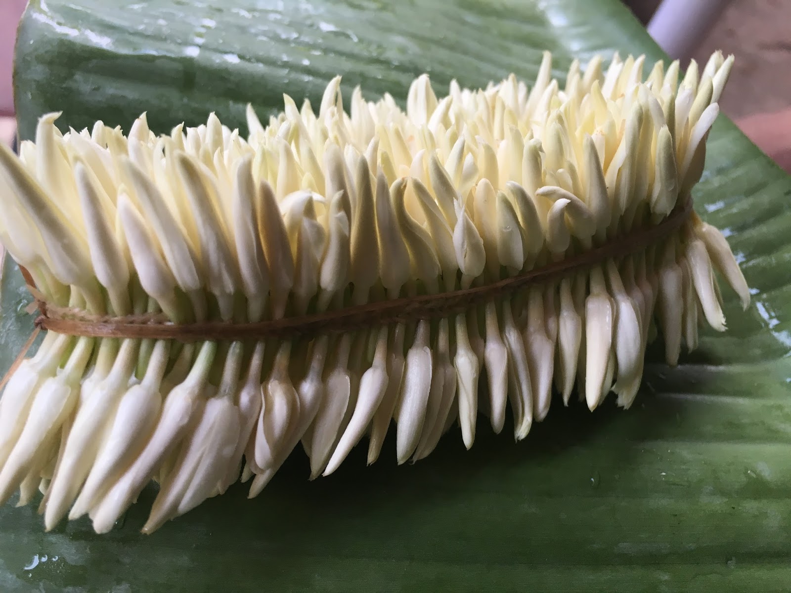 Words and Expressions Mangalorean Jasmine