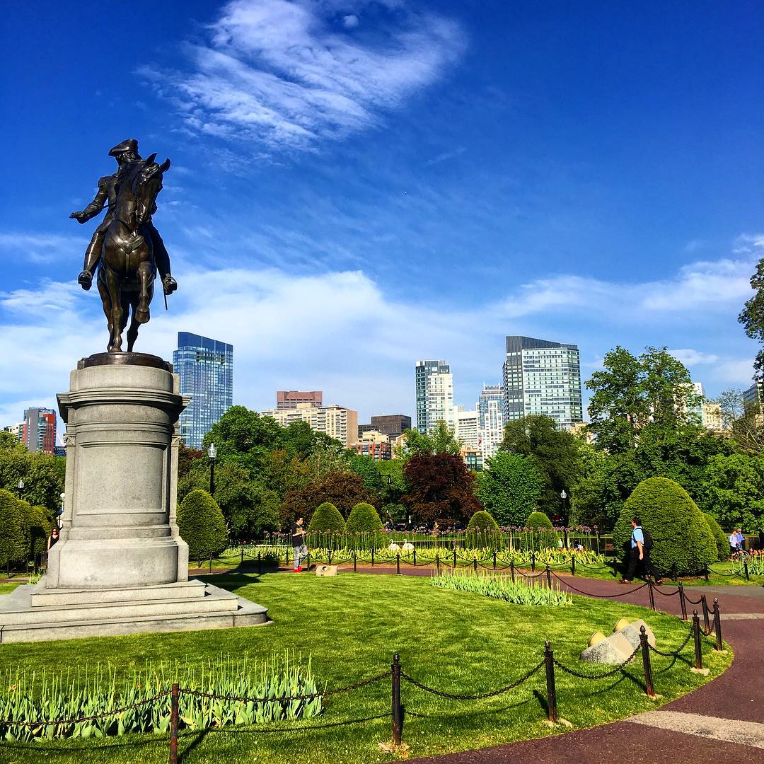 Boston in the summer, public garden in Boston, Boston Parks