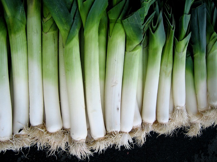 Gardening Granny's Gardening Pages Leeks, shallots, scallions and ramps