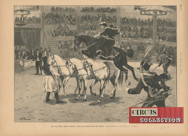 gravure de presse d'une écuyère au cirque Busch