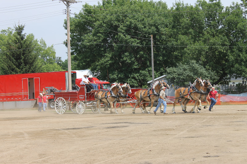 Cornerstone Retreat Murray County Classic Draft Horse Show Slayton MN