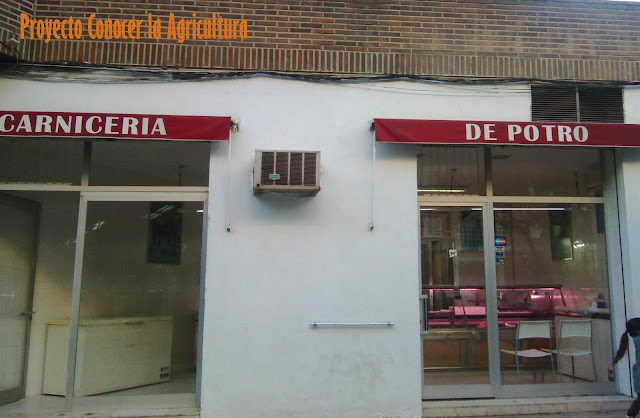 Carne de potro