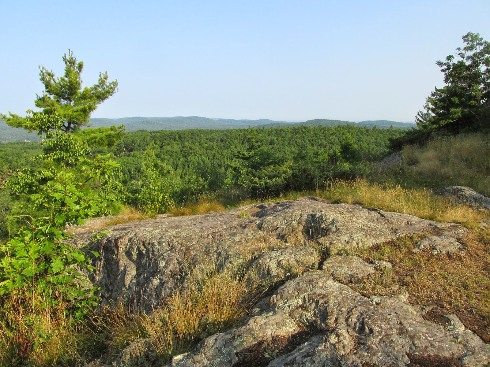 The Passionate Hiker Blueberry Mountain