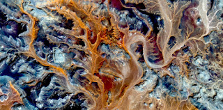 orange algae,Stone plant fantasy,Abstract Naturalism,abstract photography deserts of Africa from the air,abstract surrealism,mirage in desert,fantasy forms and colors in the desert,plants,leaves, orange algae,Stone plant fantasy,Abstract Naturalism,abstract photography deserts of Africa from the air,abstract surrealism,mirage in desert,fantasy forms and colors in the desert,plants,leaves,