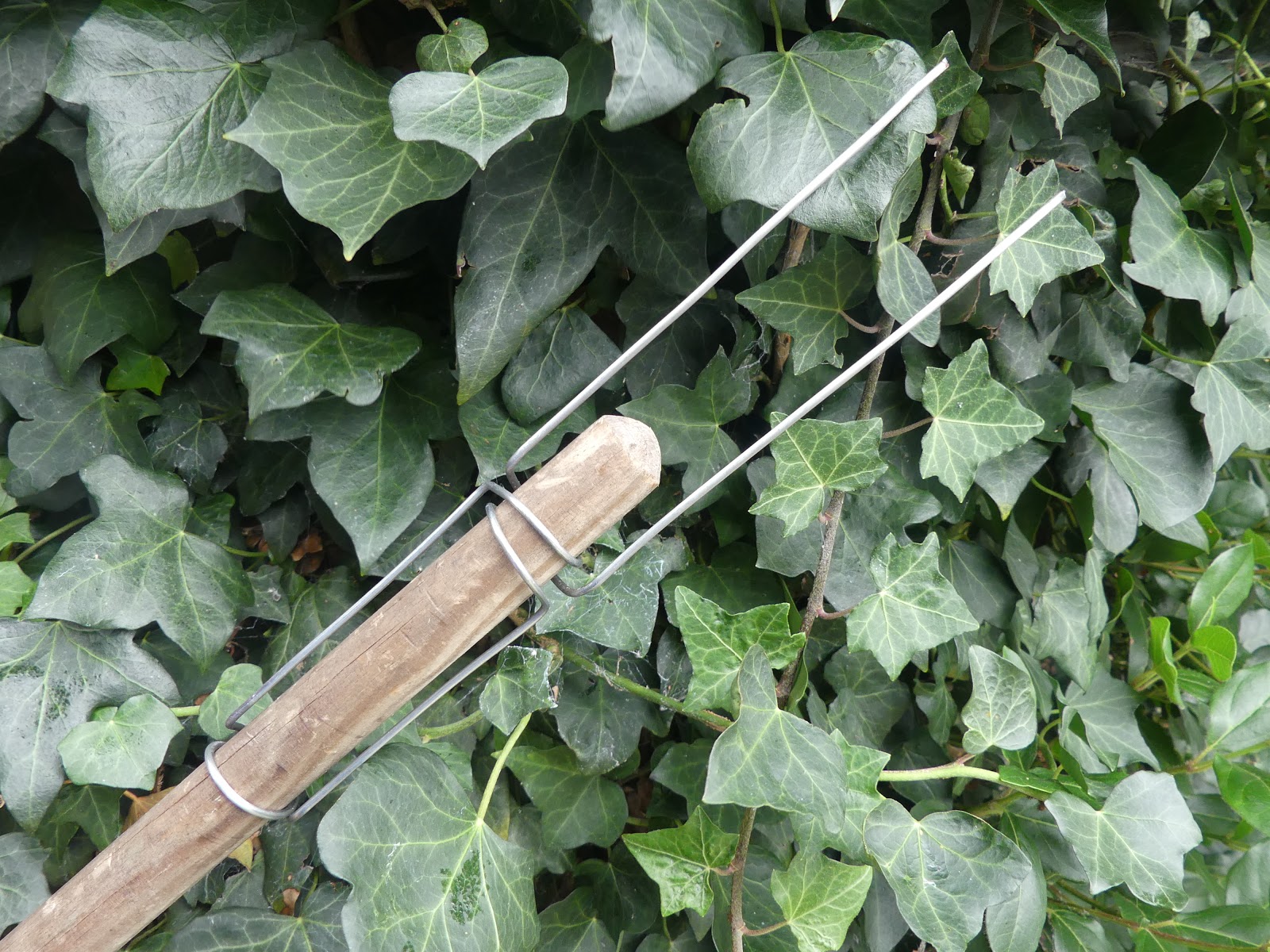 The Outdoor Traditionalist DIY Campfire Toasting Fork