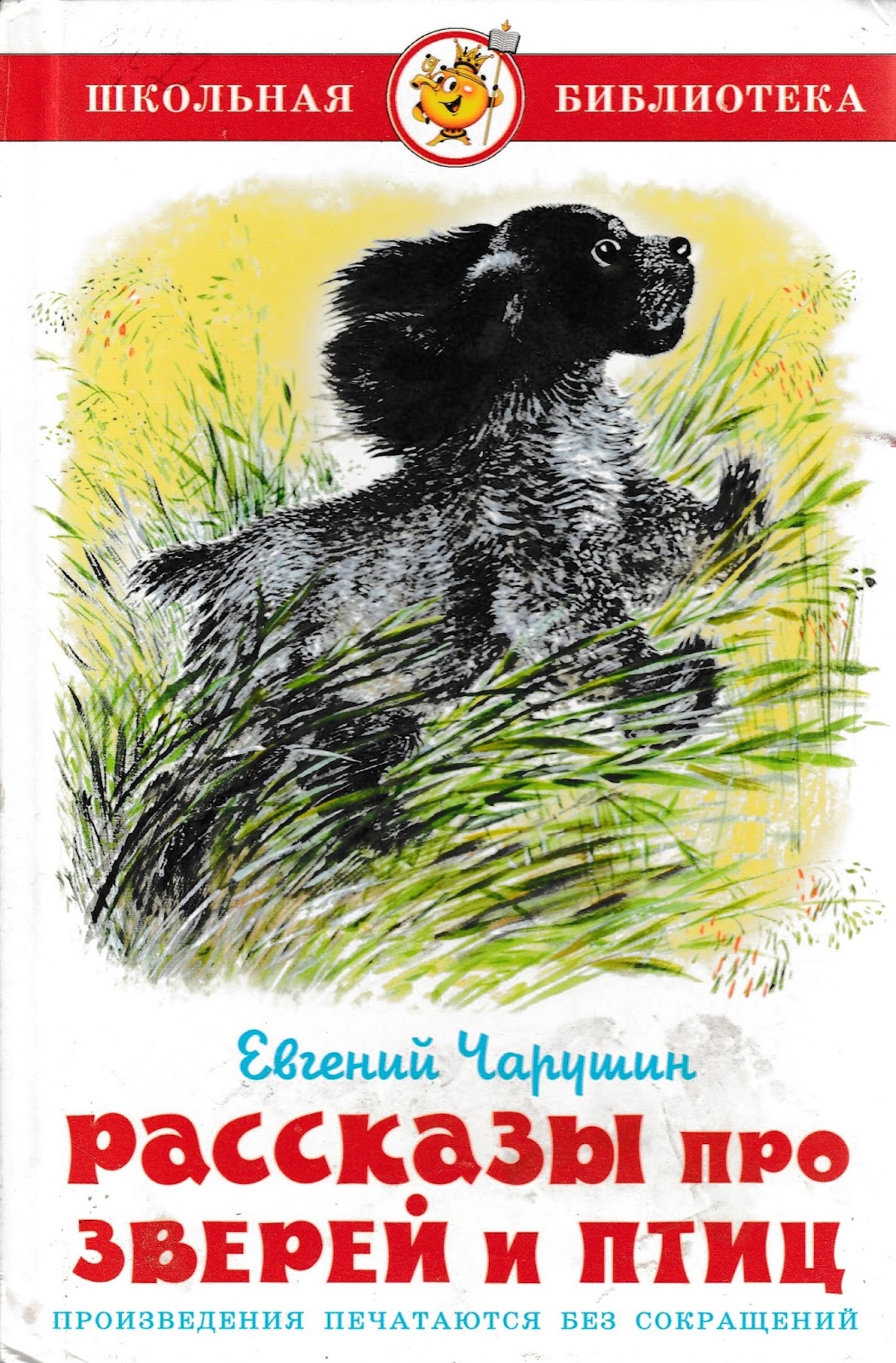 Рассксзы про это Рассксзы про это