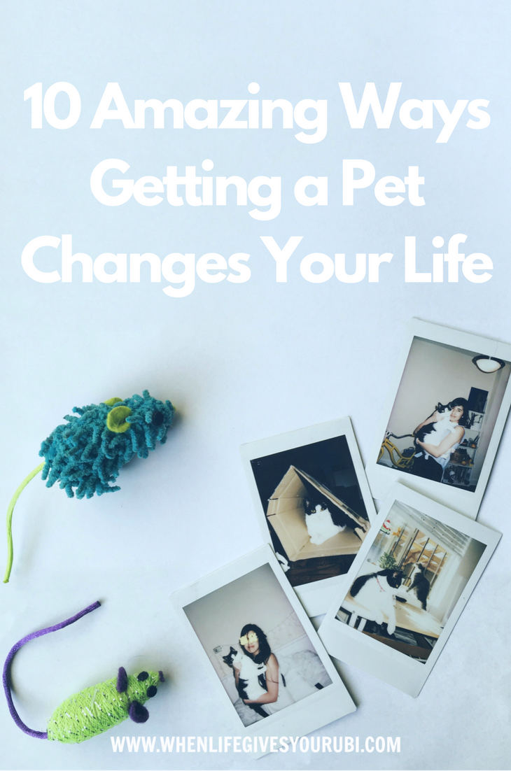 10 Amazing Ways Getting a Pet Changes Your Life When Life Gives You Rubi