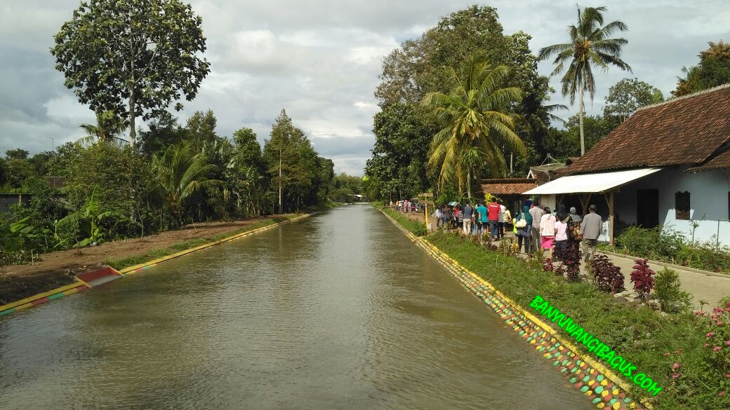 Jelajah Kampoeng Primitif Di Banyuwangi Serasa Berada Di Dunia Yang Berbeda