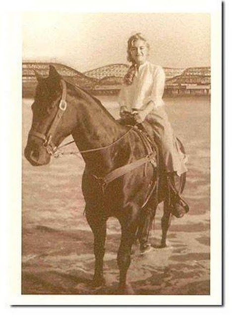 Titanic Rose foto cavalo