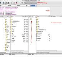 filezilla pro download free filezilla pro download free