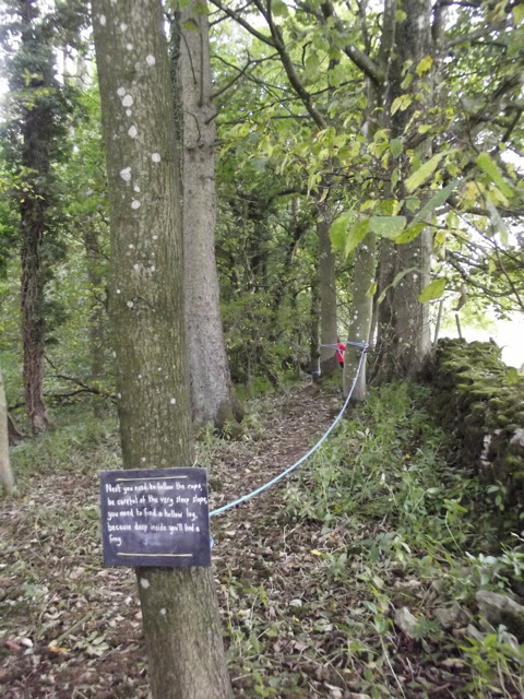 sizergh castle woodland play trail rope trail