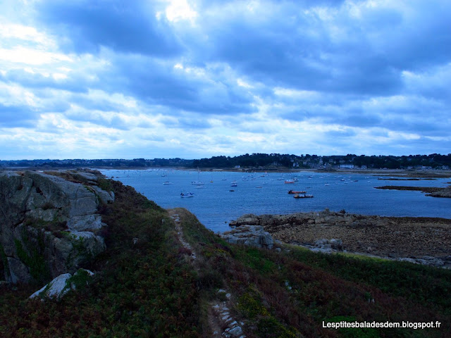 Bretagne - De Trestel au Gouffre de Plougrescant - L'Ile des Femmes