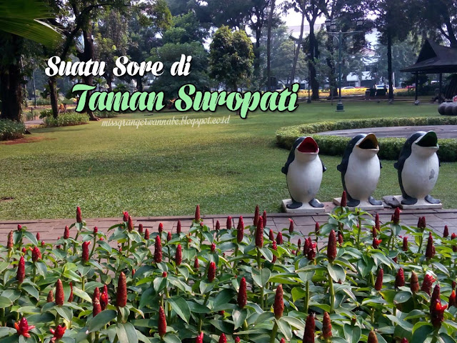 Taman Suropati, Menteng