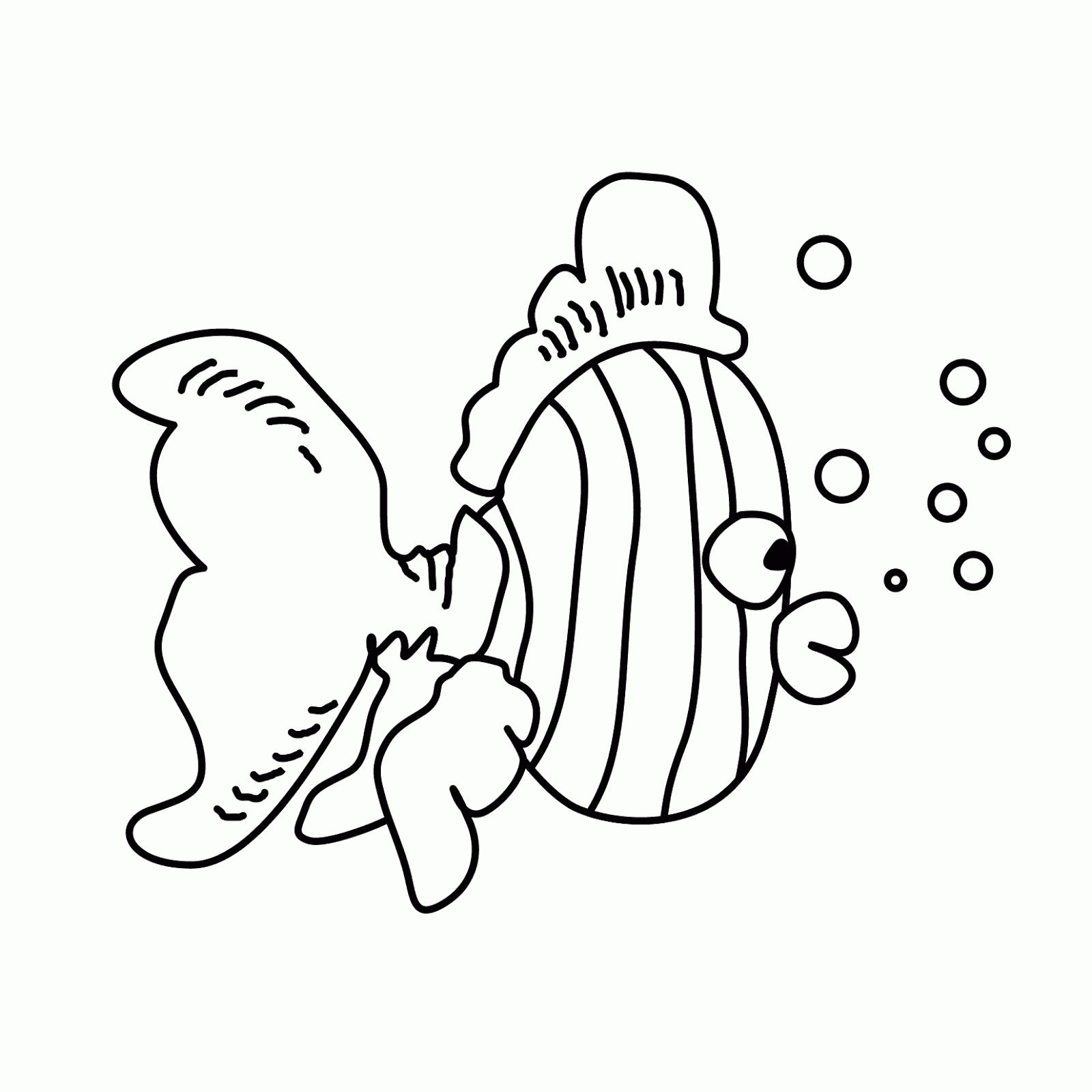 WINDOW COLOR MALVORLAGEN