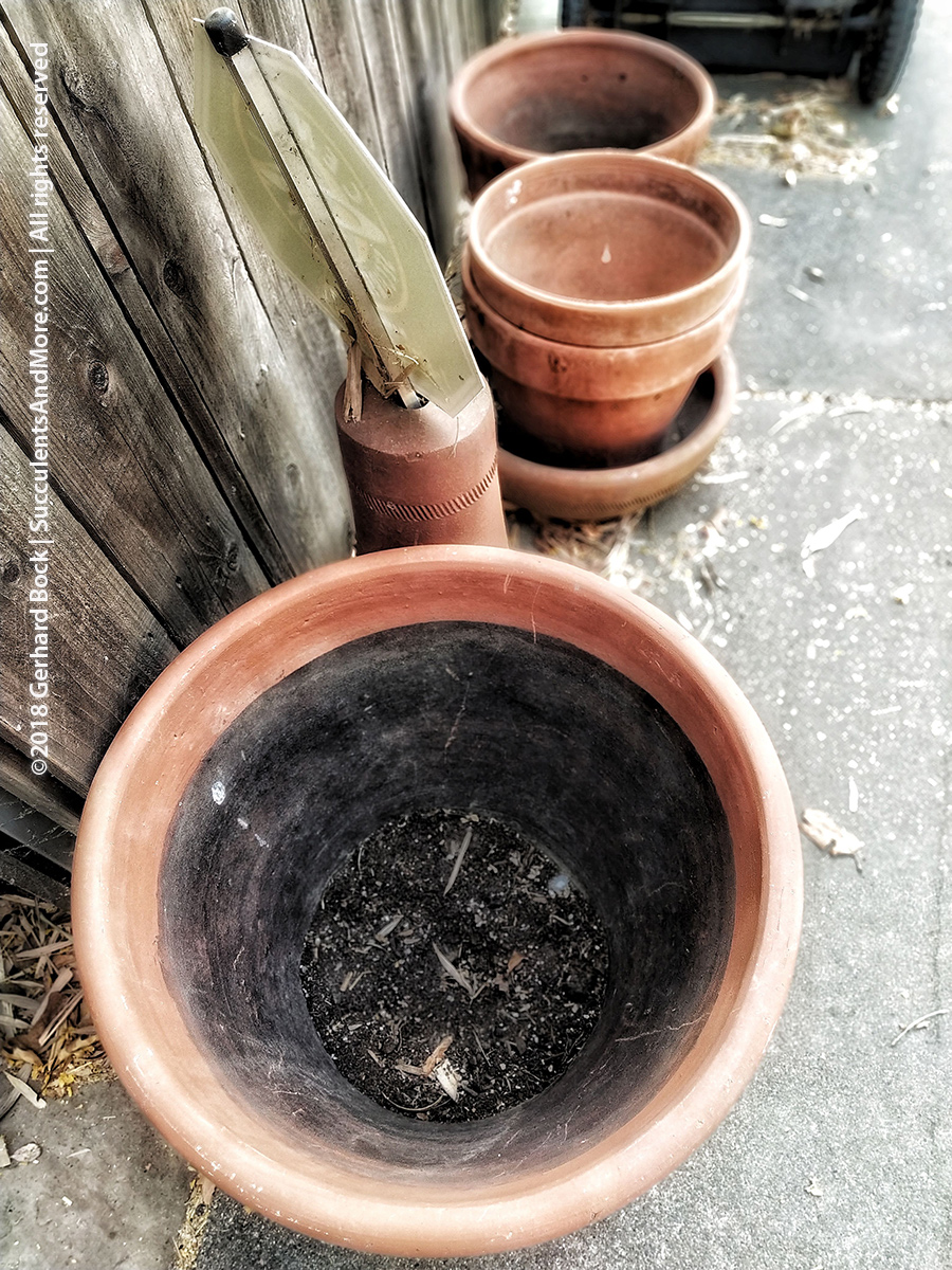 Empty pots make me anxious