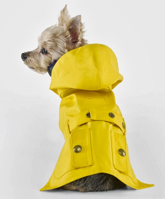Ralph lauren shop dog raincoat