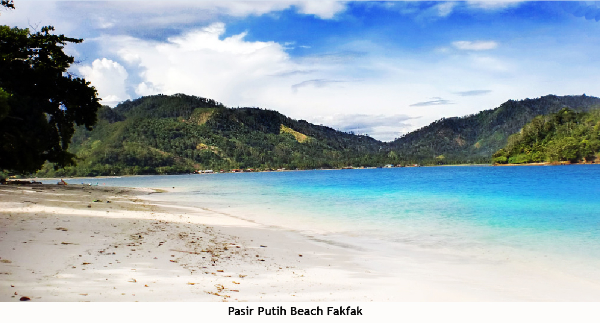 The Beauty Landscape of Indonesia: Beautiful Scenary from West Papua