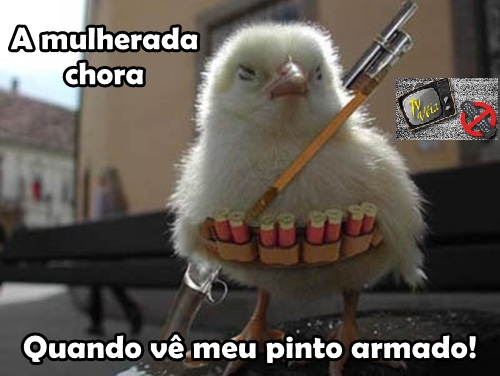 Tv Véia: pinto armado