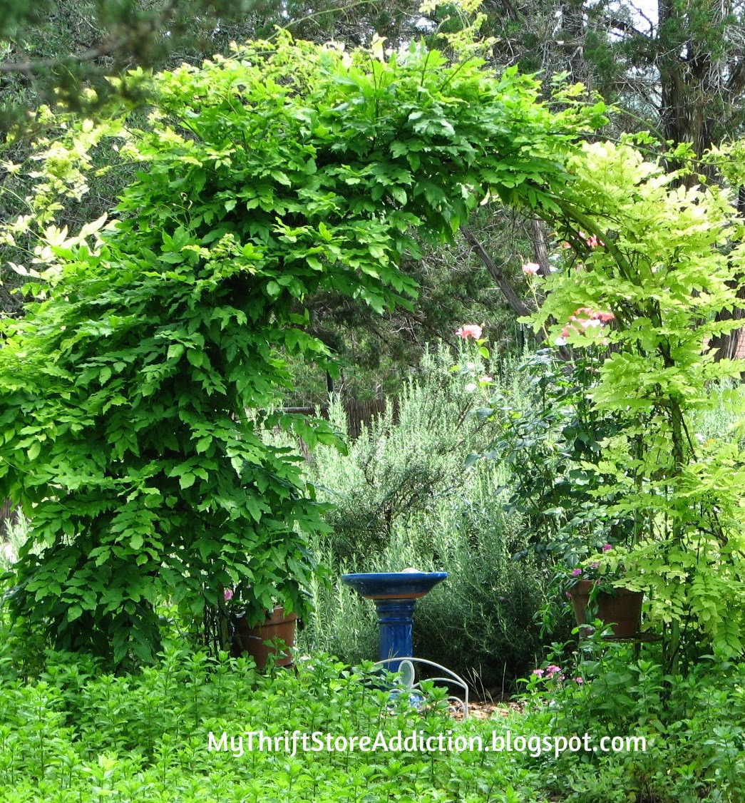 Welcome to Secret Garden: My Creative Space! mythriftstoreaddiction.blogspot.com Lush, vine covered arch overlooking a sea of rosemary and a blue bird bath