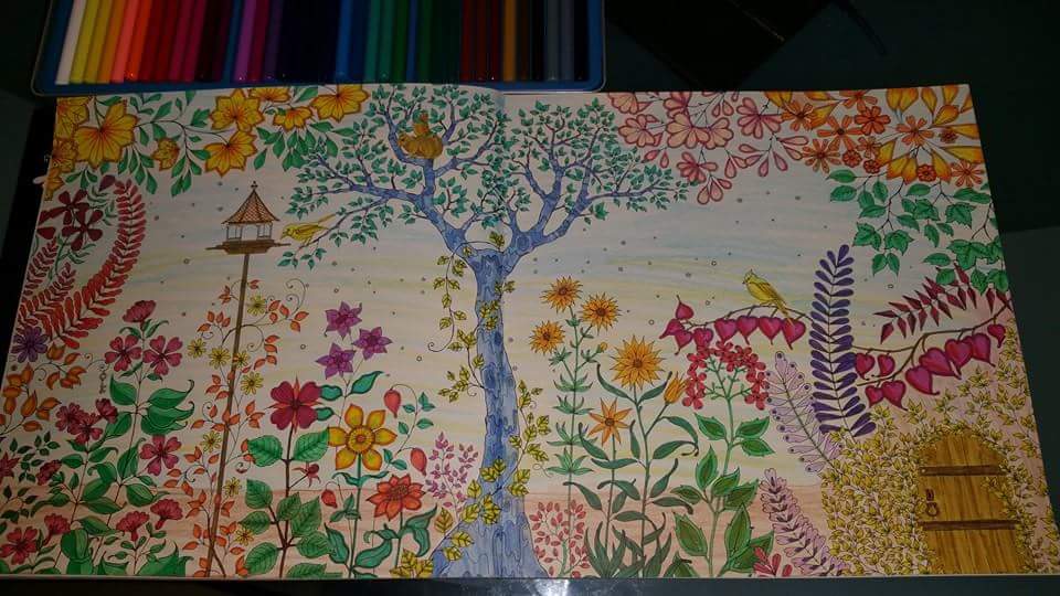 Fairy Book Johanna Basfords Postkarten Zum Ausmalen