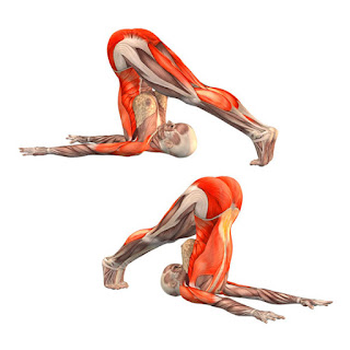 Yoga-trainer-for-home-for-diabetes-Banner.jpg