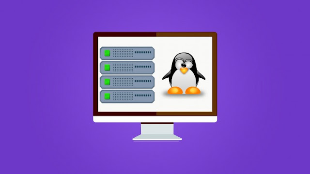 Learning Ubuntu Linux Server  