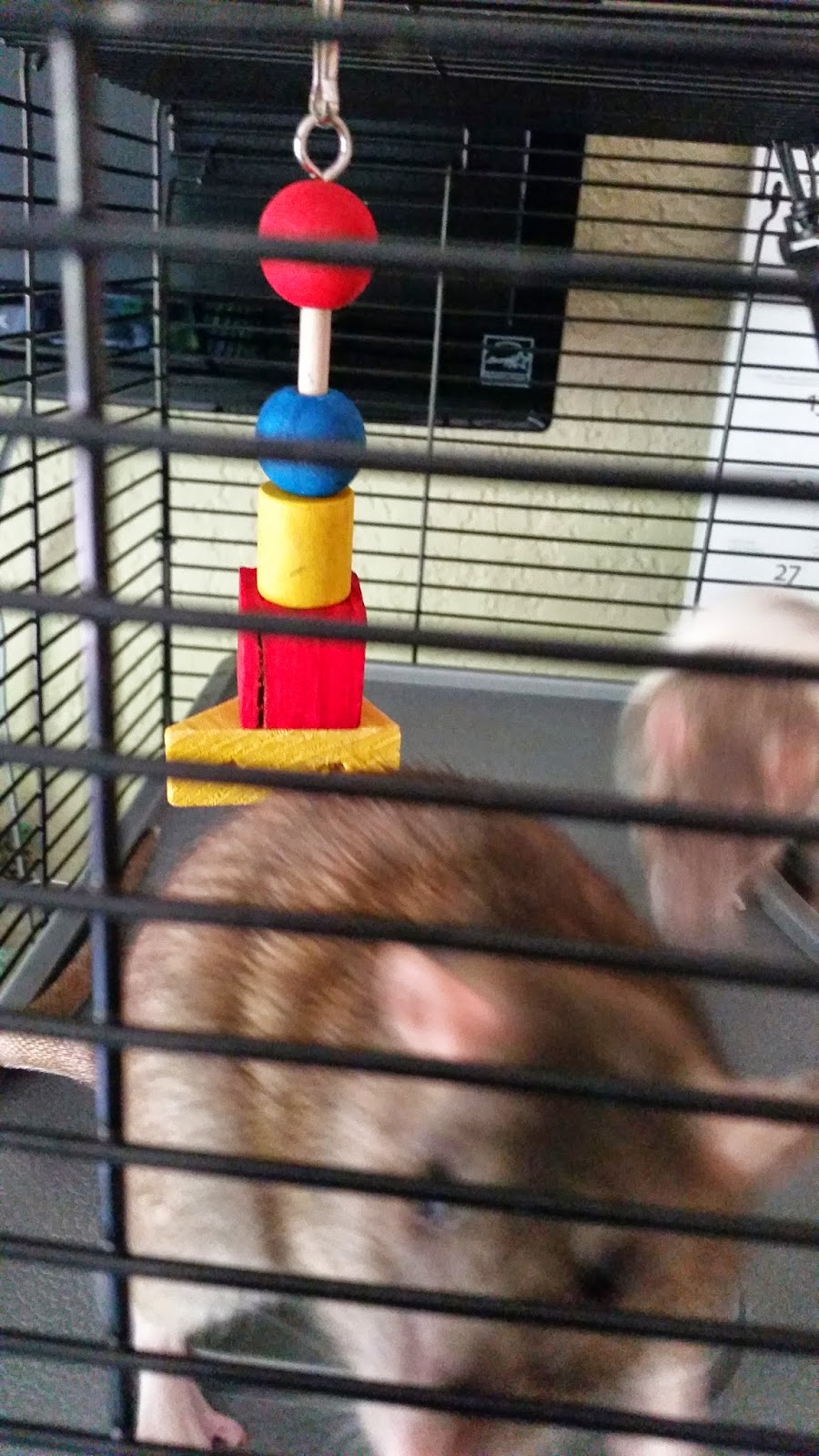 Fruiit Pawnch's Rat Blog Cage Review All Living Things "Rat Starter Kit"