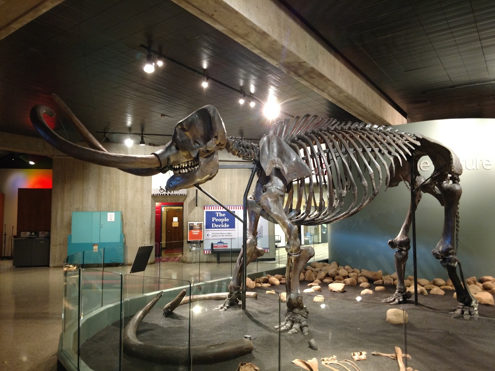 Travels of a Hobgoblin Taphophile Conway Mastodon Ohio History Center