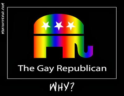 Demotivational poster - 'The Gay Republican - WHY?'