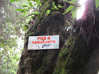 Misteri Pendakian Gunung slamet via Bambangan