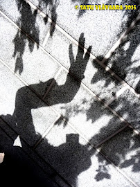 Varjoni omakuva, Shadow selfie: