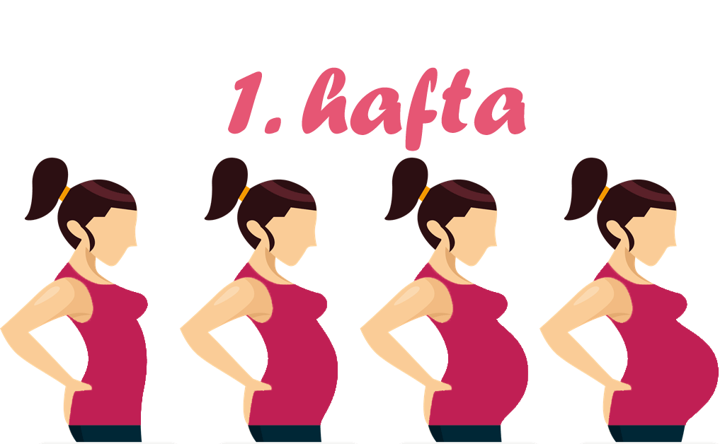 1. Hafta Gebelik (Hamilelik) Belirtileri