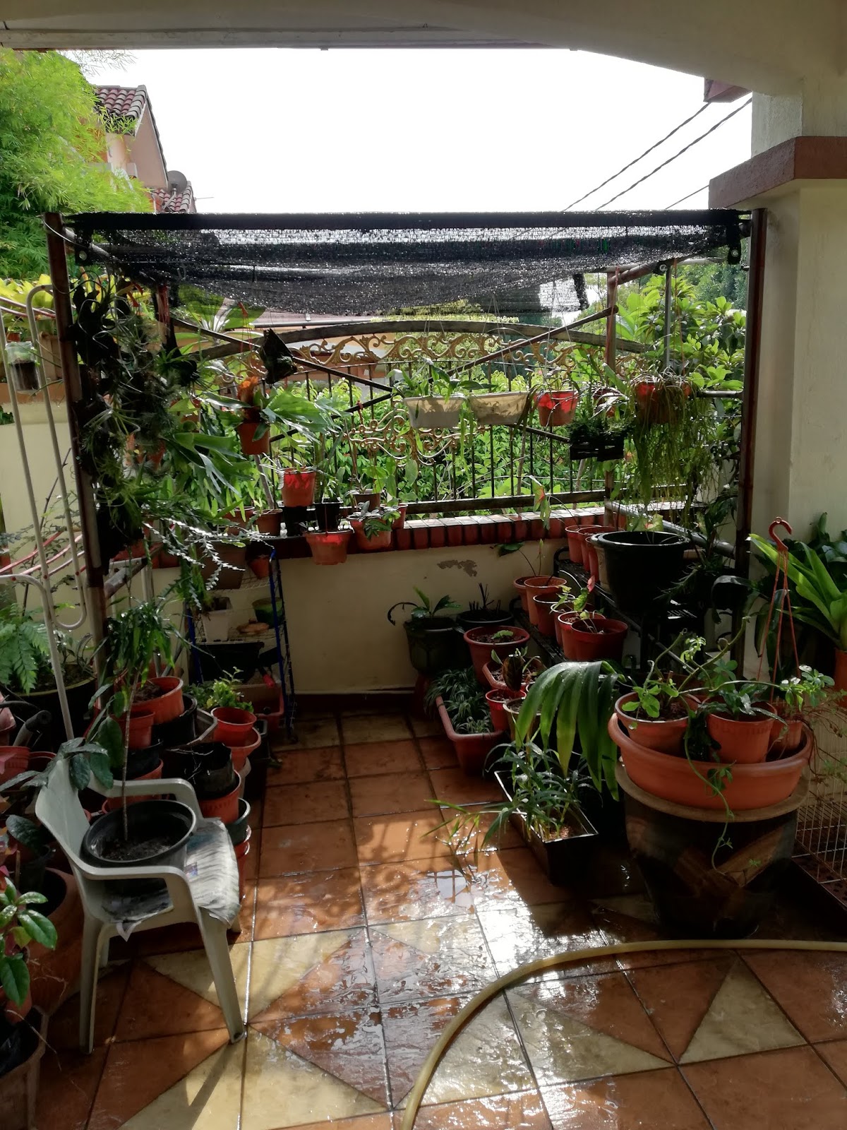 Garden Chronicles : Garden Landscaping - Netting Shed (Before)