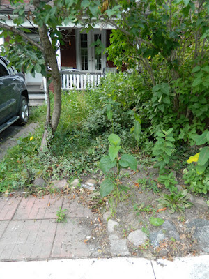 Riverdale Toronto front garden cleanup before Paul Jung Gardening Services