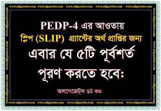 পিইডিপি-৪ এর আওতায় স্লিপ গ্র্যান্টের অর্থ প্রাপ্তির ৫টি পূর্বশর্ত পিইডিপি-৪ এর আওতায় স্লিপ গ্র্যান্টের অর্থ প্রাপ্তির ৫টি পূর্বশর্ত