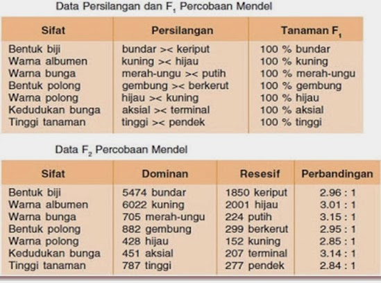 Media Pembelajaran Genetika Mendel Monohibrid Dihibrid Polihibrid Probabilitas Genetika