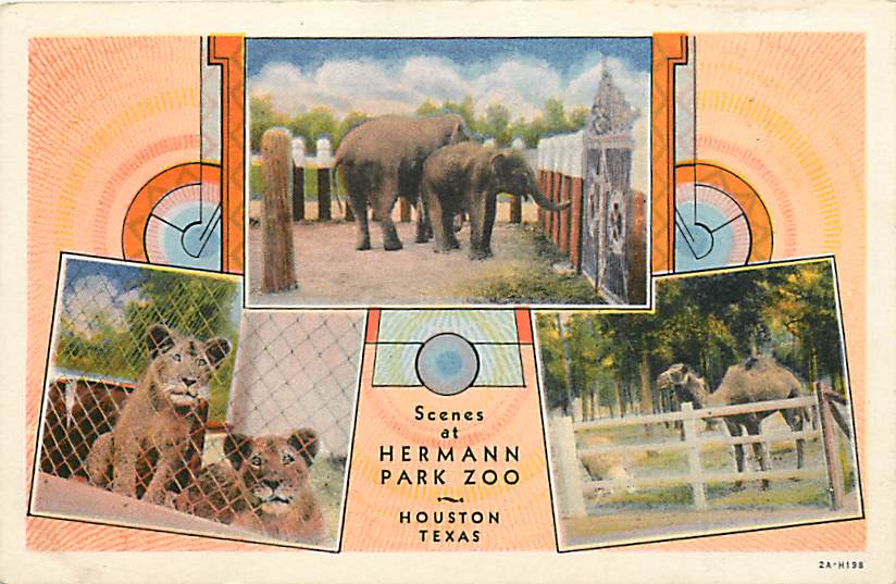 The Circus "NO SPIN ZONE" Vintage Houston Zoo