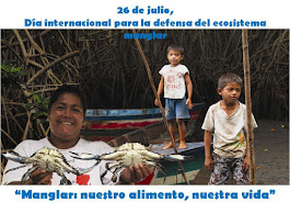 26 de julio - Día Internacional para la defensa del Ecosistema Manglar
