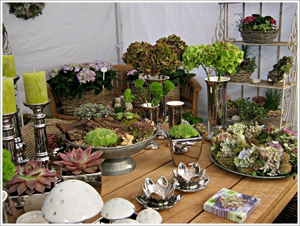 Gluck Ist Mit Katja Von Die Raumfee Fee Ist Mein Name