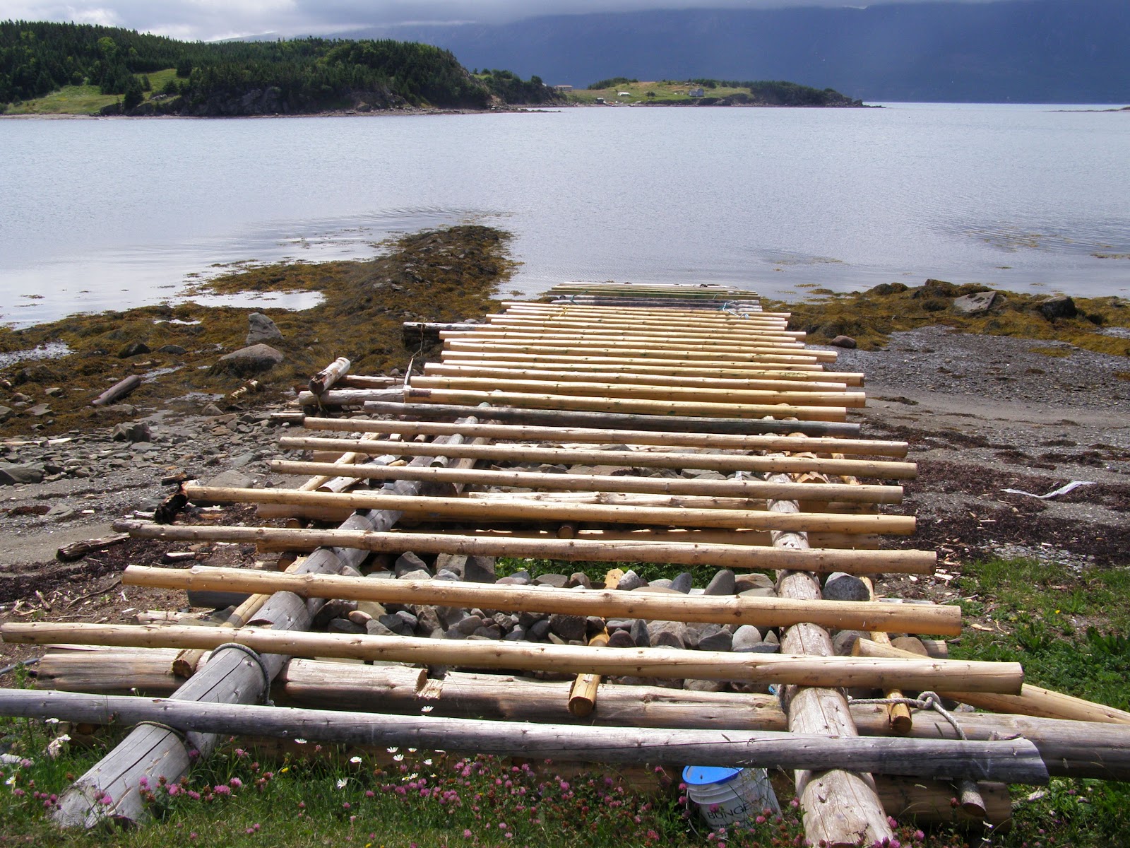 Northern Exposure 2012 Last Day at Woods Island, Bay of Islands