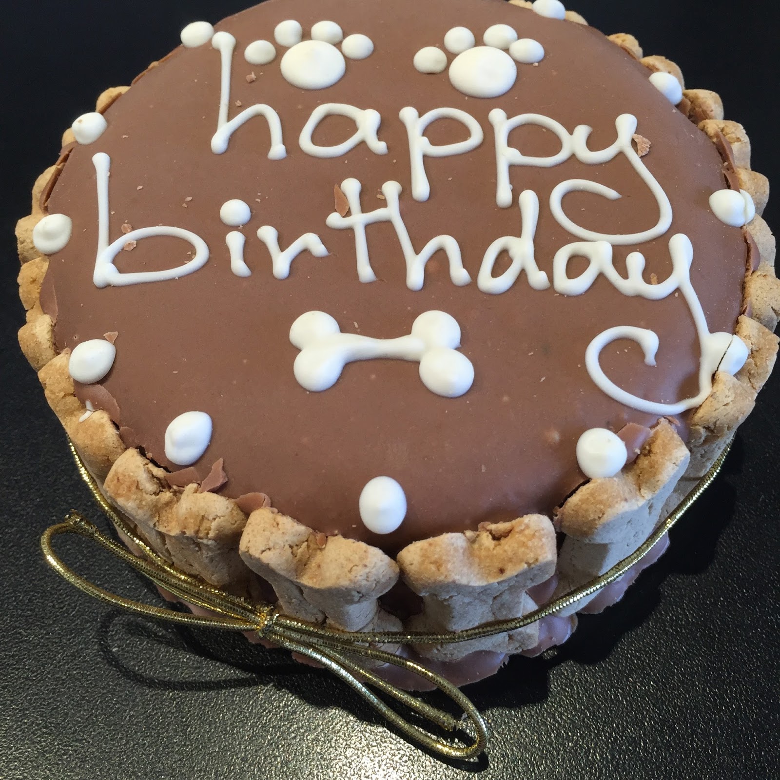 Cinnamon the Traveling Coonhound Dog Friendly Kirkland, Washington